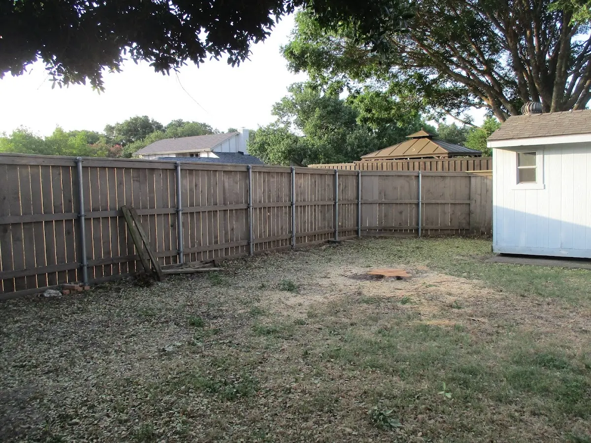 Cleared yard after professional tree removal in Farmville